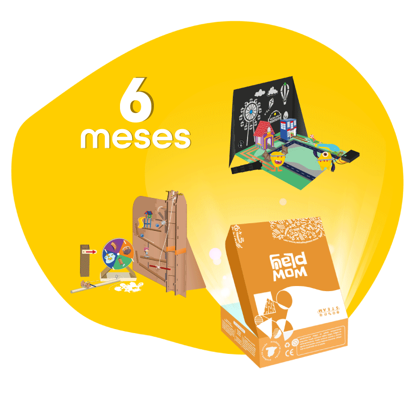 6 meses + 1 GRATIS